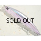 デュオ ビーチウォーカーアクシオン95S：DHA0279 ツレギスGB【ネコポス配送可】