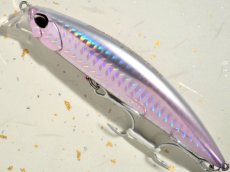 画像1: デュオ ビーチウォーカーアクシオン95S：DHA0279 ツレギスGB【ネコポス配送可】 (1)