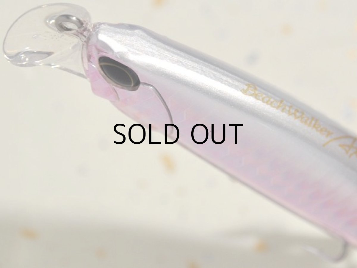 画像2: デュオ ビーチウォーカーアクシオン95S：DHA0279 ツレギスGB【ネコポス配送可】 (2)