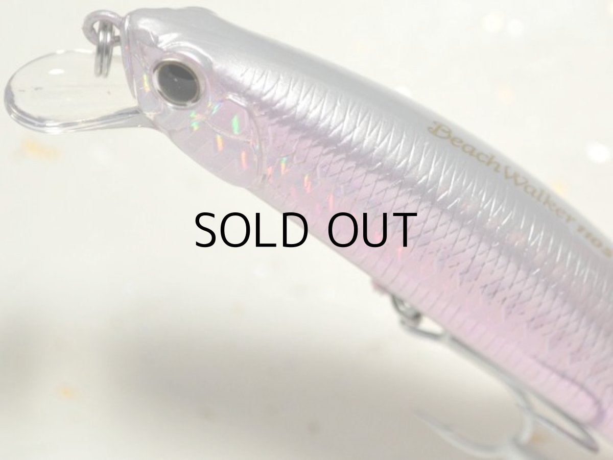 画像2: デュオ ビーチウォーカー110S：DHA0279 ツレギスGB■ネコポス対象外■ (2)