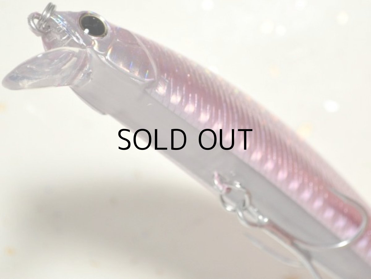 画像3: デュオ ビーチウォーカー110S：DHA0279 ツレギスGB■ネコポス対象外■ (3)