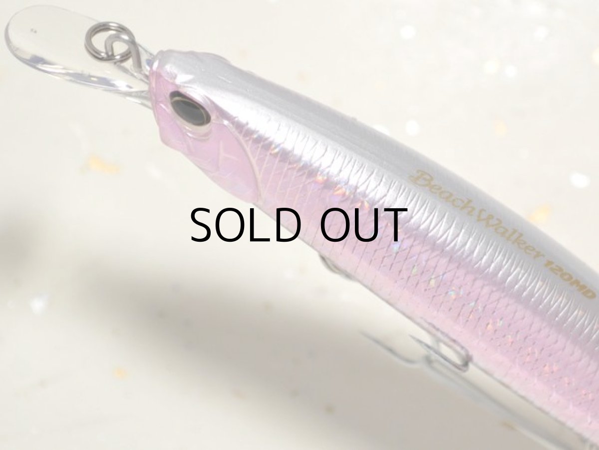 画像2: デュオ ビーチウォーカー120MD：DHA0279 ツレギスGB■ネコポス対象外■ (2)