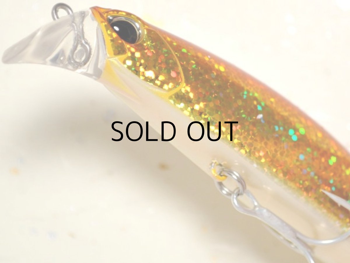 画像3: デュオ ビーチウォーカー95ファルクラム:キラキラアカキン【ネコポス配送可】 (3)