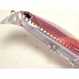 画像3: デュオ ビーチウォーカー95ファルクラム：ツレギスGB【ネコポス配送可】 (3)