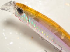 画像2: デュオ ビーチウォーカーアクシオン95S：DHN0179 キスゴ【ネコポス配送可】 (2)
