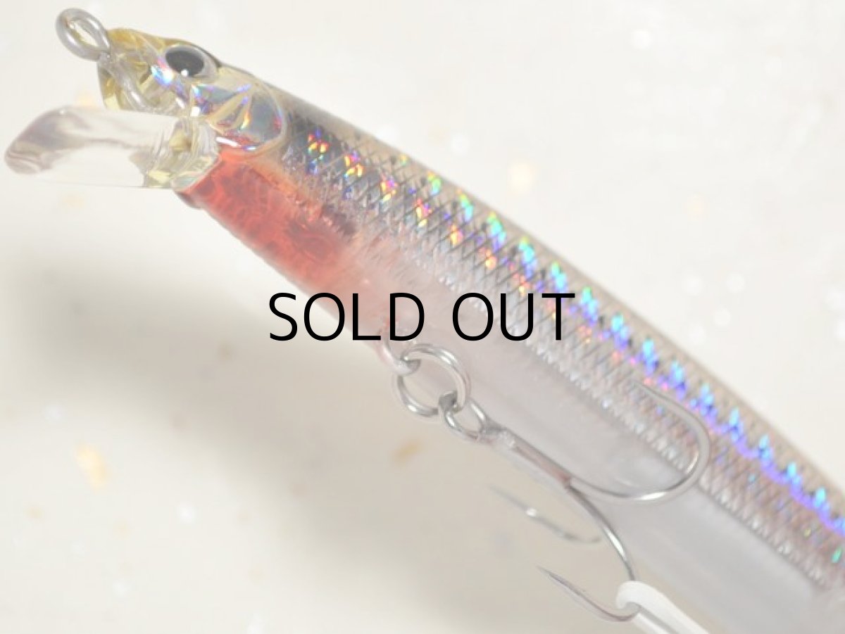 画像3: デュオ タイドミノースリム120:DHN0157 若コノシロ■ネコポス対象外■ (3)