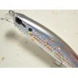 画像2: デュオ ビーチウォーカーアクシオン95S：AQA0018 ヒイラギ【ネコポス配送可】 (2)