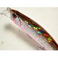 画像2: デュオ ビーチウォーカーアクシオン95S：GQA0173 イシモチPB【ネコポス配送可】 (2)