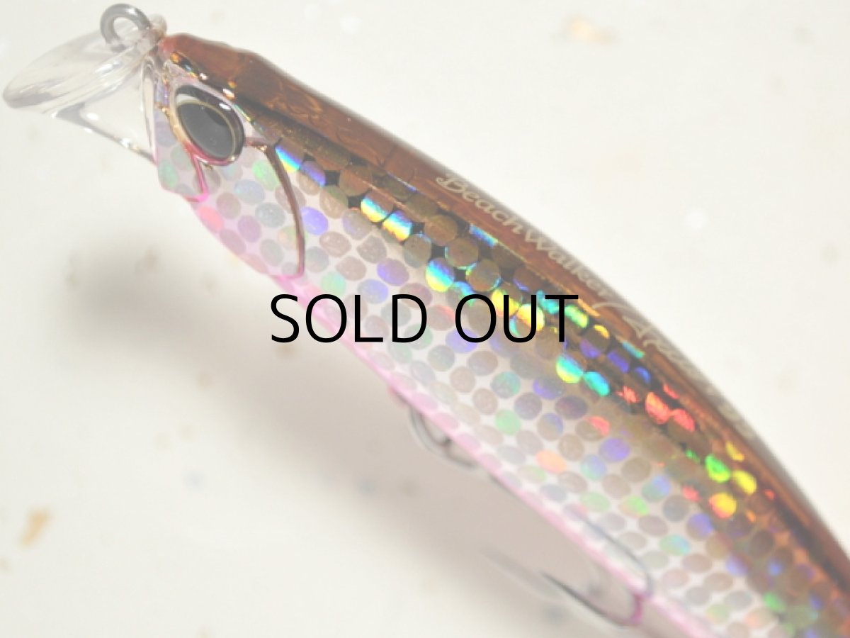 画像2: デュオ ビーチウォーカーアクシオン95S：GQA0173 イシモチPB【ネコポス配送可】 (2)