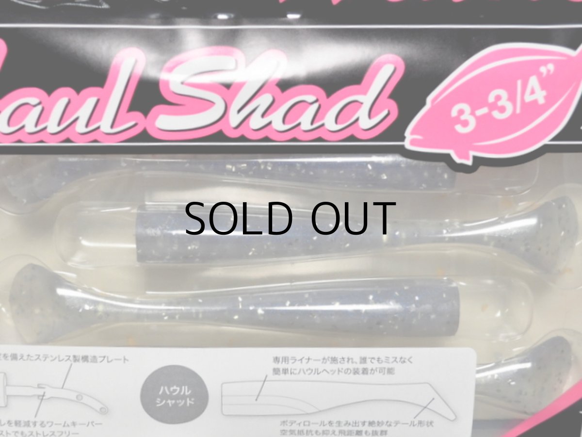 画像1: デュオ ビーチウォーカーハウルシャッド3-3/4：S903 イワシシルバーラメ【ネコポス配送可】 (1)