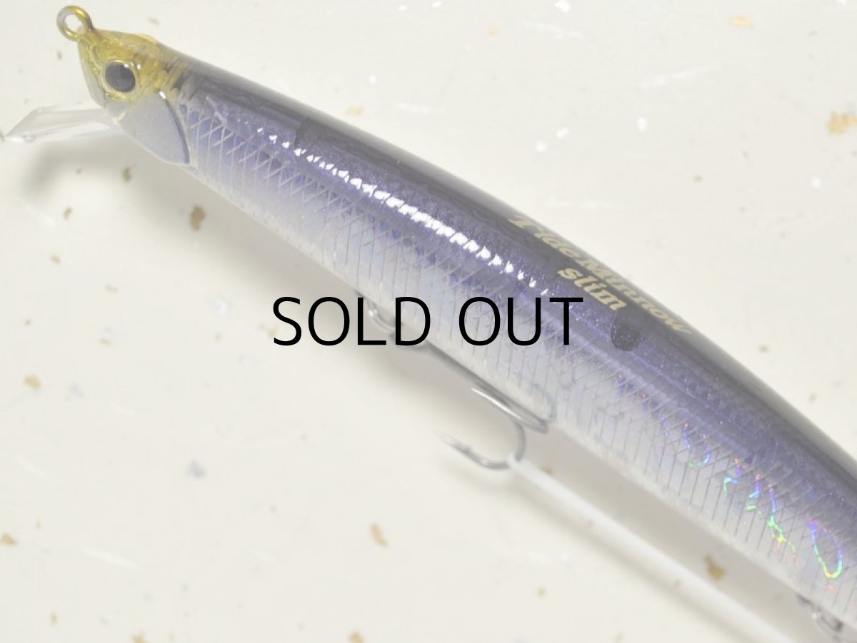 画像2: デュオ タイドミノースリム175：GJN0042 セグロ■ネコポス対象外■ (2)