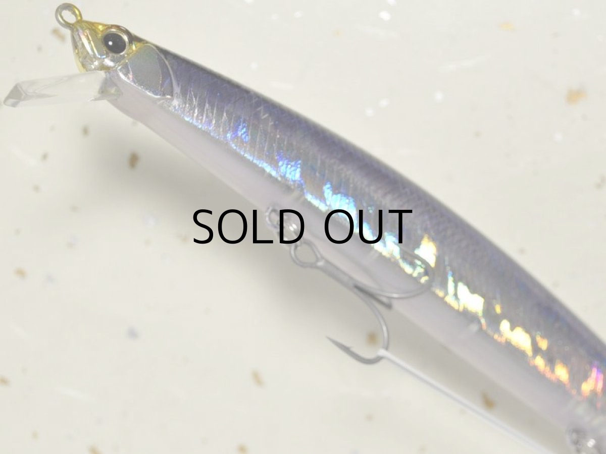 画像3: デュオ タイドミノースリム175：GJN0042 セグロ■ネコポス対象外■ (3)