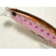 画像2: デュオ ビーチウォーカーアクシオン95S：Z056 ゾンビイワシ（限定カラー）【ネコポス配送可】 (2)
