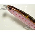 画像2: デュオ ビーチウォーカー95ファルクラム：Z056 ゾンビイワシ（限定カラー）【ネコポス配送可】 (2)