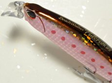 画像2: デュオ ビーチウォーカー95ファルクラム：Z056 ゾンビイワシ（限定カラー）【ネコポス配送可】 (2)