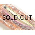 デュオ ビーチウォーカーフリッパー32：GHA0282 堀田オレンジイワシ【ネコポス配送可】