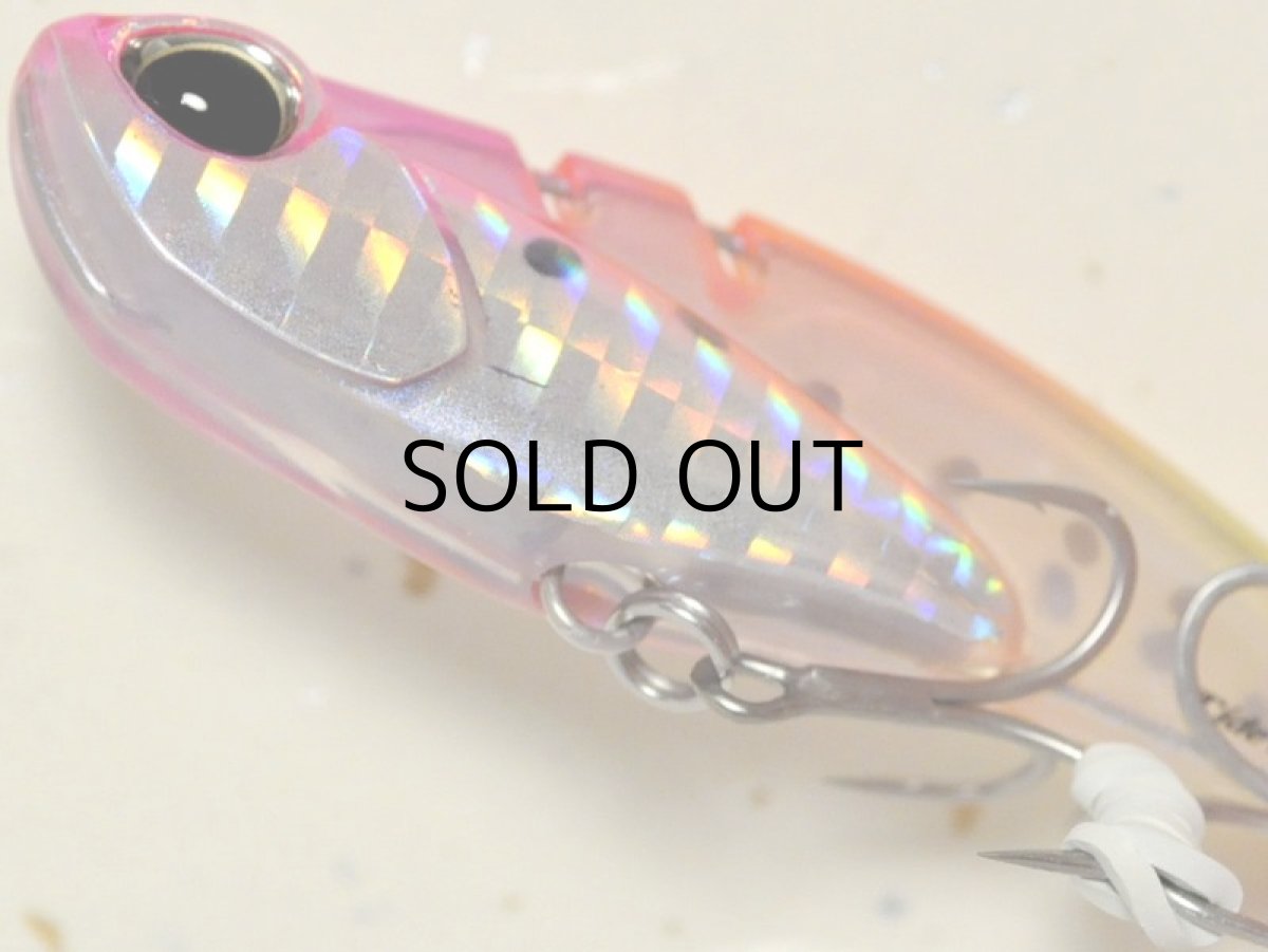 画像3: デュオ タイドバイブスコア68：CHH0287 トロピカルイワシ【ネコポス配送可】 (3)