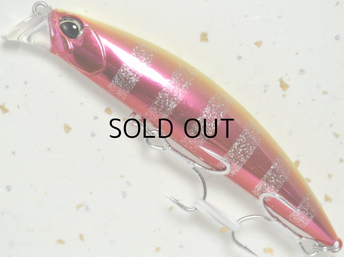 画像1: デュオ ビーチウォーカーアクシオン95S：CG-1603 アラウン（限定カラー）【ネコポス配送可】 (1)