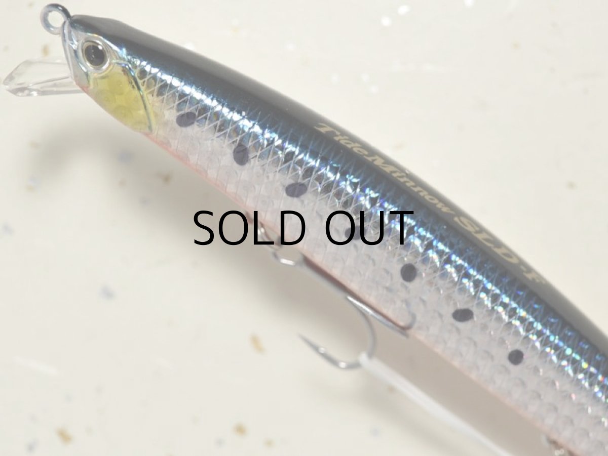 画像2: デュオ タイドミノー145SLD-F：ABA0030 イワシRB■ネコポス対象外■ (2)