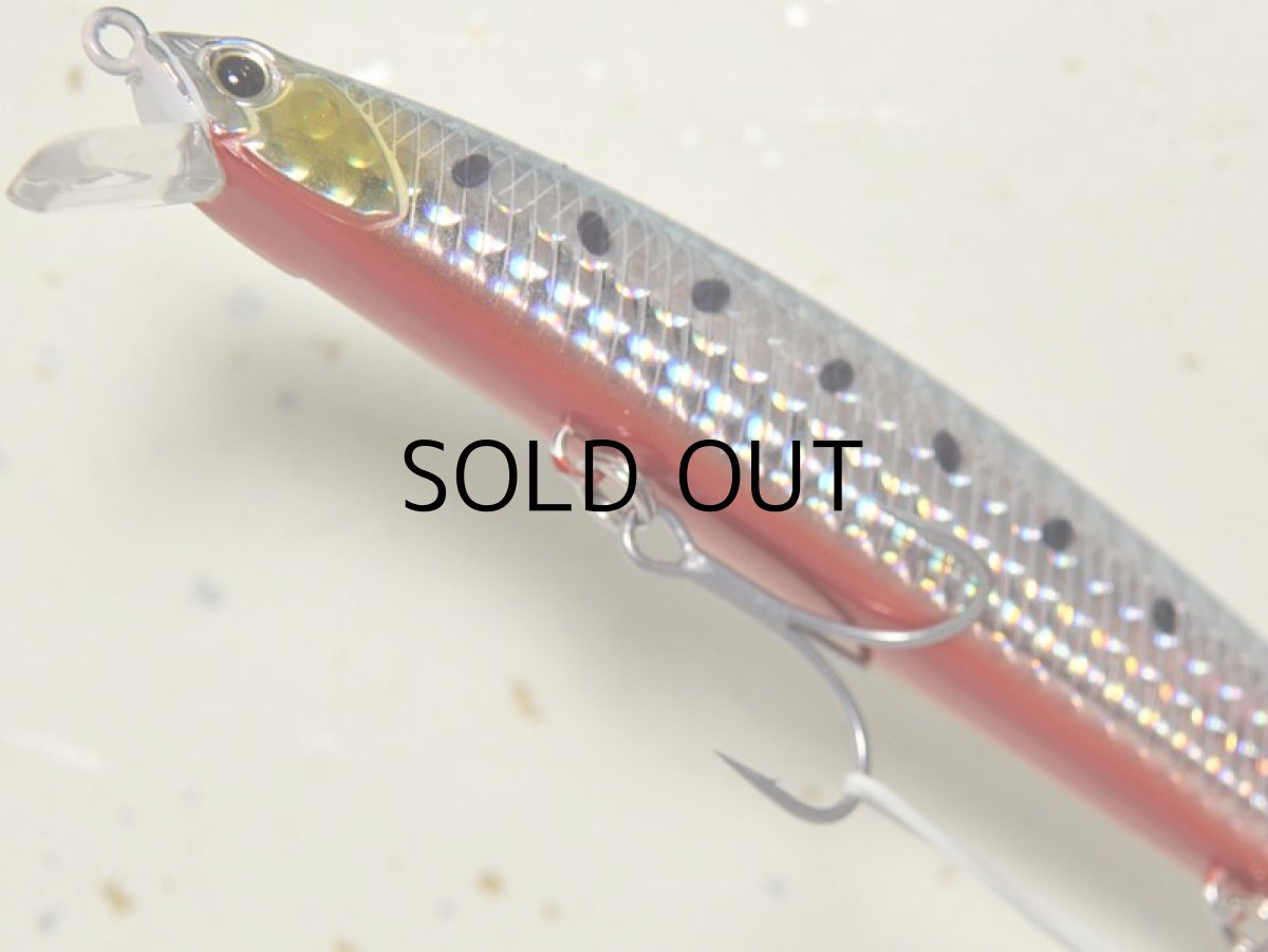 画像3: デュオ タイドミノー145SLD-F：ABA0030 イワシRB■ネコポス対象外■ (3)