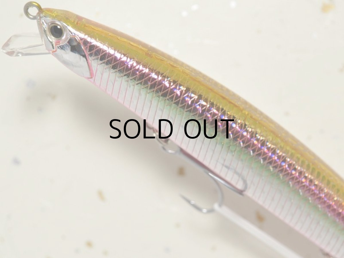 画像2: デュオ タイドミノー145SLD-F：GBAZ054 高木レインボー■ネコポス対象外■ (2)