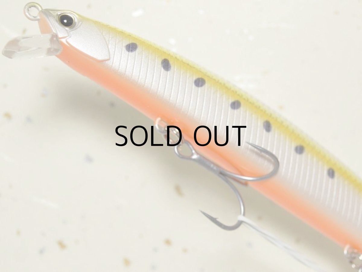 画像3: デュオ タイドミノー145SLD-F：AST0333 黄金イワシ■ネコポス対象外■ (3)