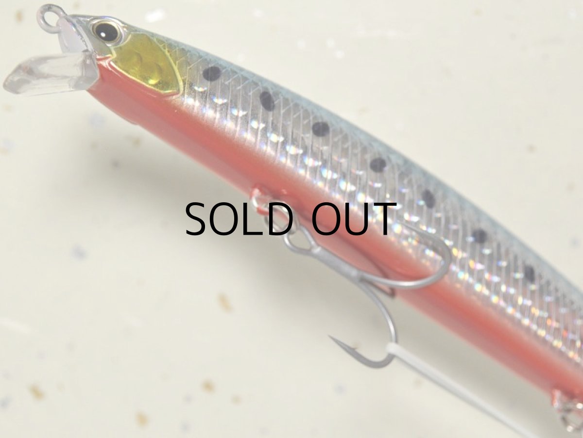 画像3: デュオ タイドミノー145SLD-S：ABA0030 イワシRB■ネコポス対象外■ (3)