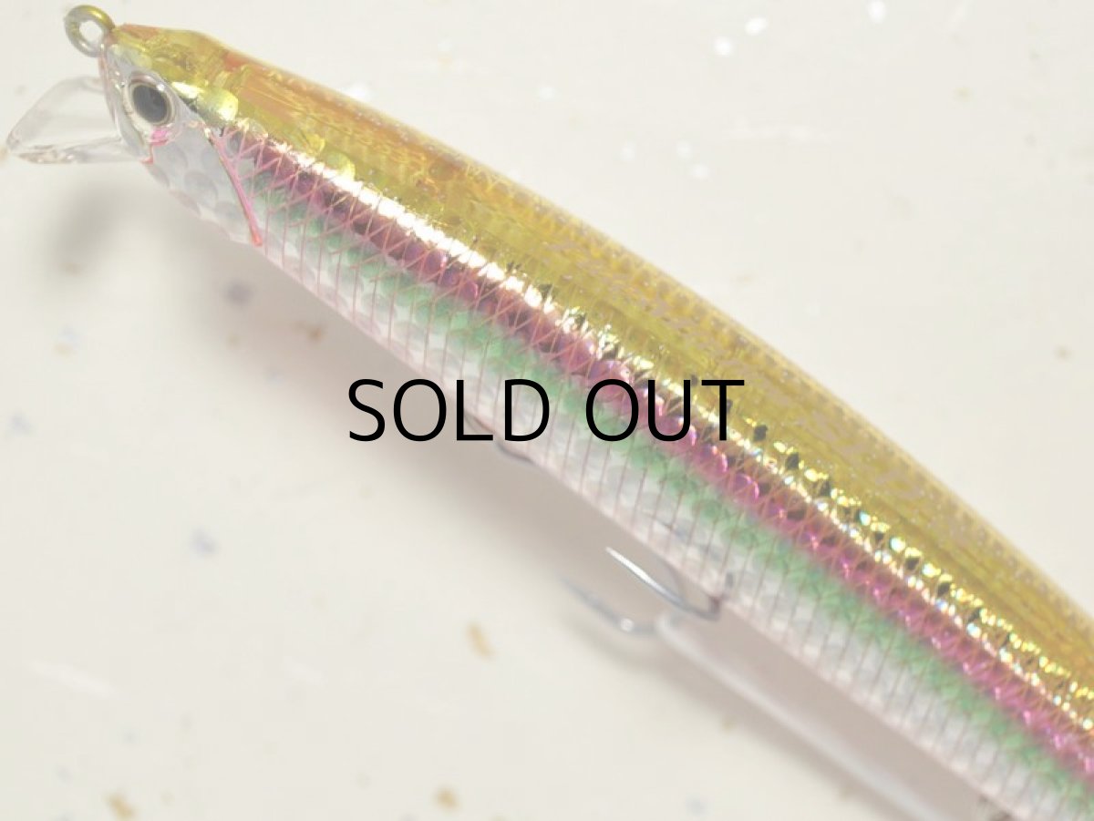 画像2: デュオ タイドミノー145SLD-S:GBAZ054 高木レインボー■ネコポス対象外■ (2)