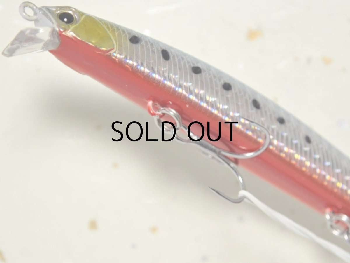 画像3: デュオ タイドミノー125SLD-F：ABA0030 イワシRB■ネコポス対象外■ (3)