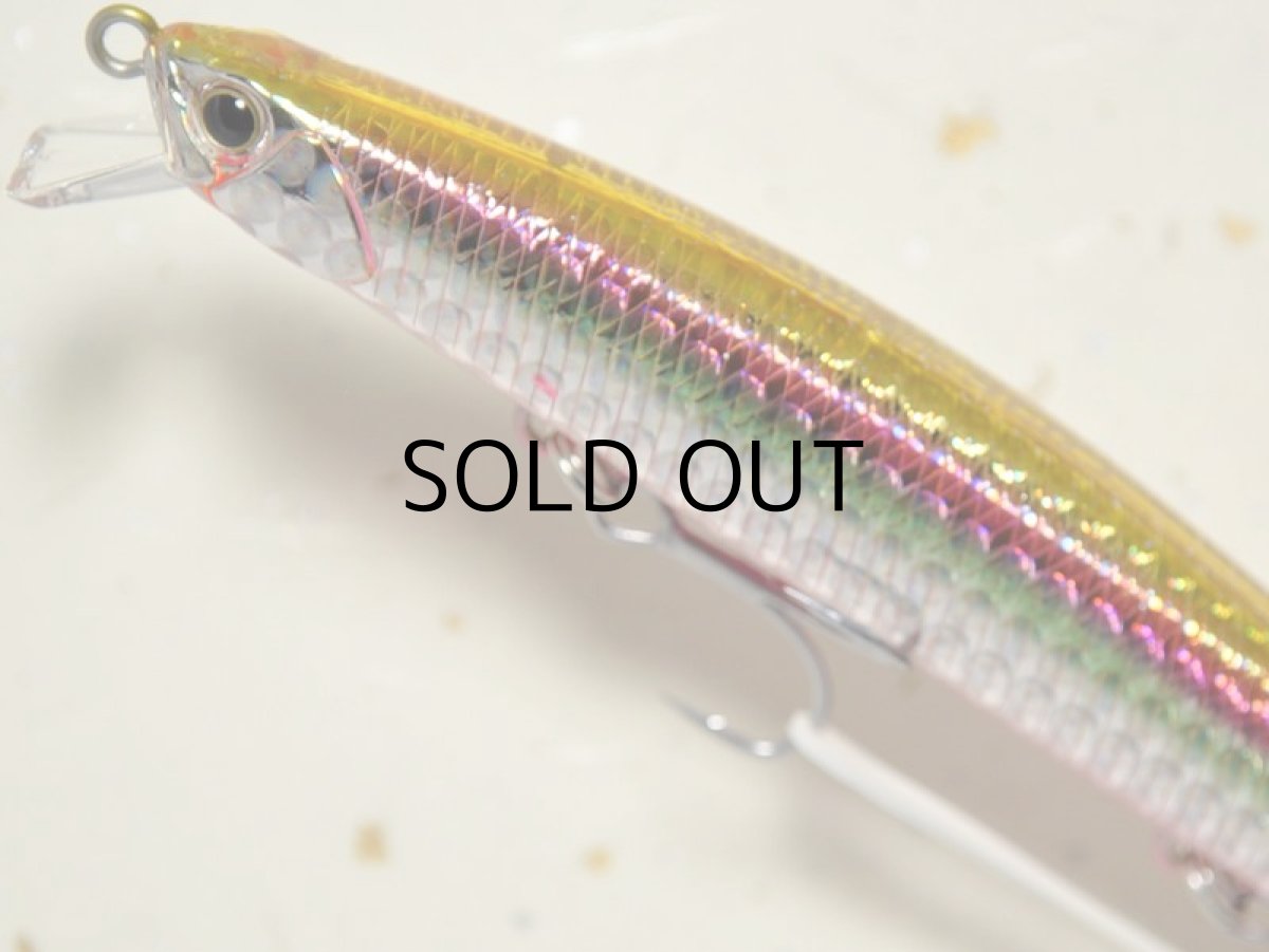 画像2: デュオ タイドミノー125SLD-F：GBAZ054 高木レインボー■ネコポス対象外■ (2)