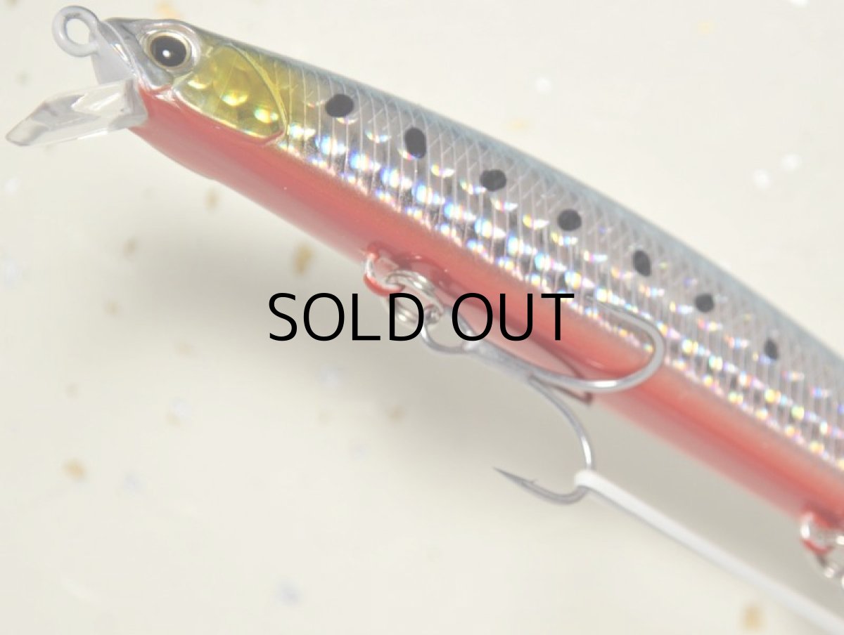 画像3: デュオ タイドミノー125SLD-S：ABA0030 イワシRB■ネコポス対象外■ (3)