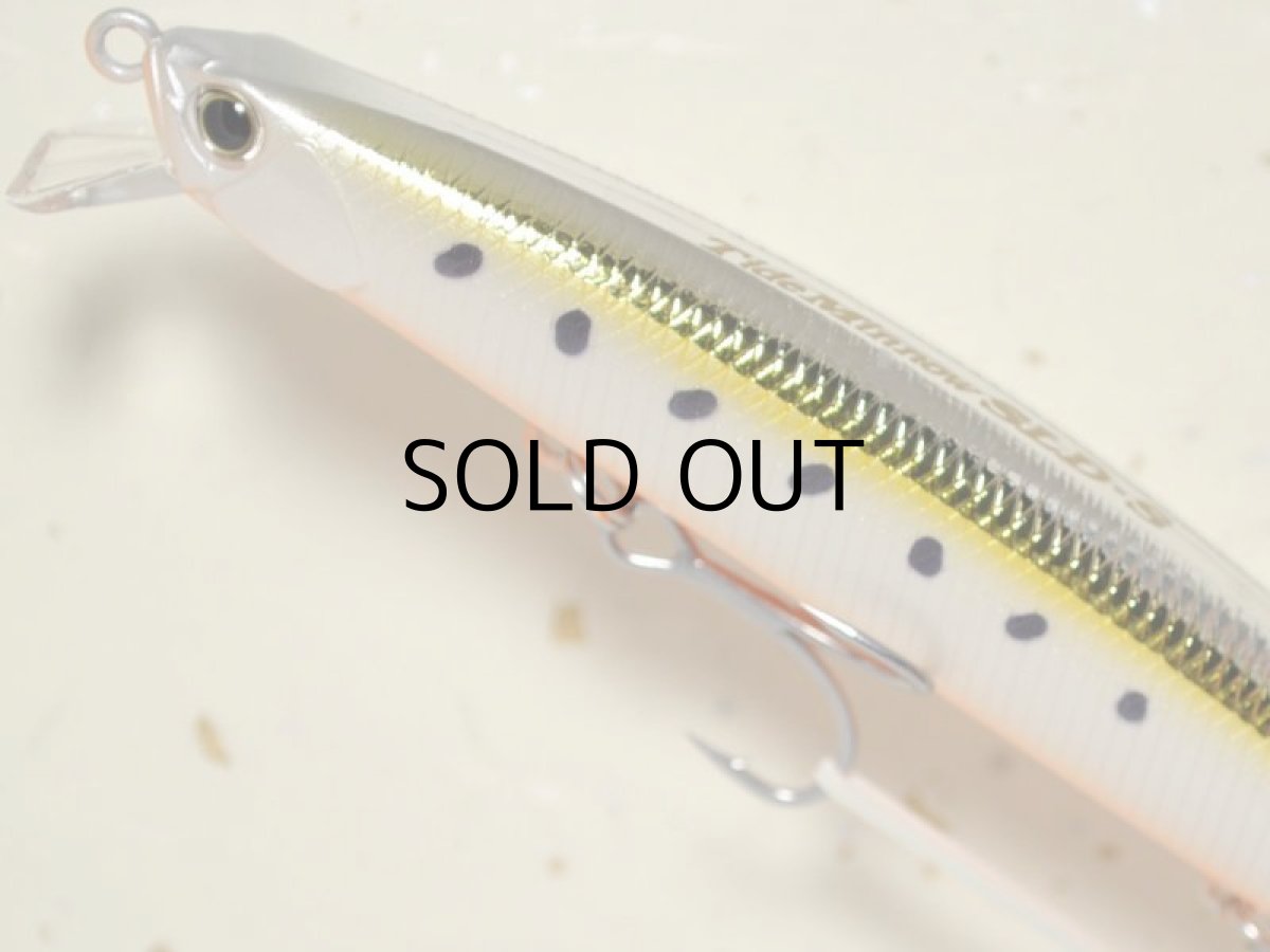 画像2: デュオ タイドミノー125SLD-S：AST0333 黄金イワシ■ネコポス対象外■ (2)