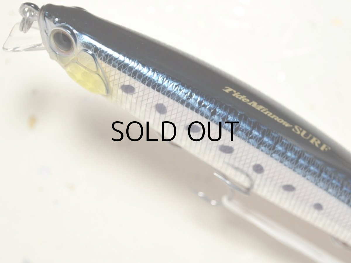 画像2: デュオ タイドミノー120サーフ：ABA0030 イワシRB【ネコポス配送可】 (2)