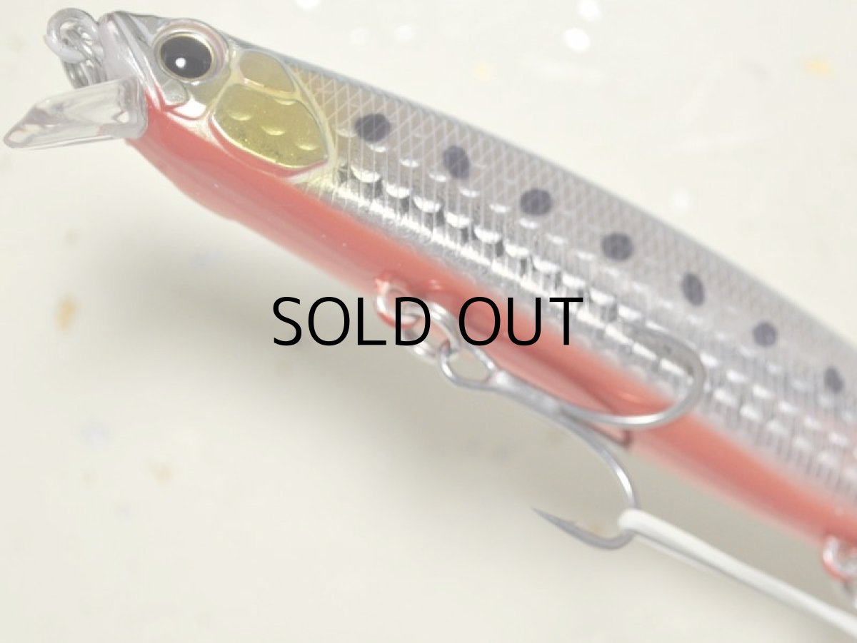 画像3: デュオ タイドミノー120サーフ：ABA0030 イワシRB【ネコポス配送可】 (3)
