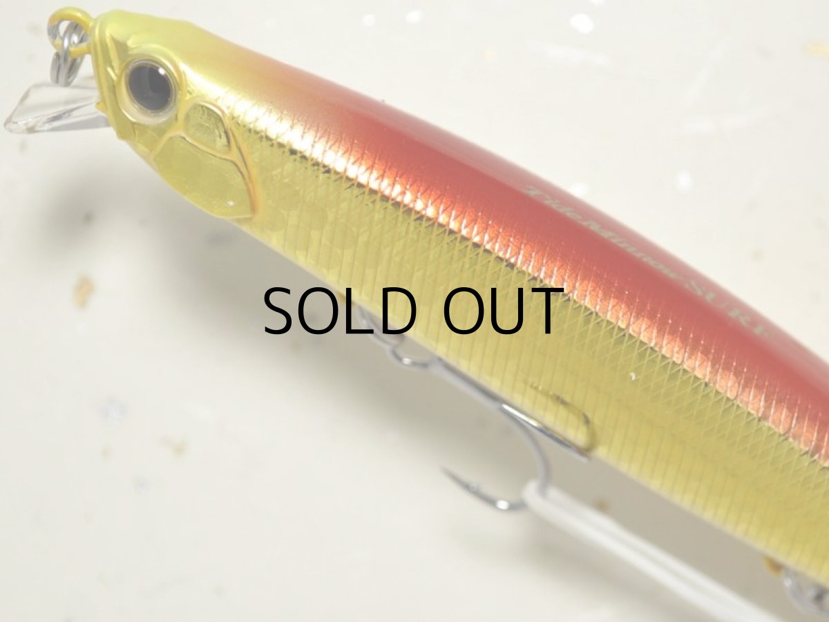 画像2: デュオ タイドミノー120サーフ：ABA0047 チャートヘッドアカキン【ネコポス配送可】 (2)