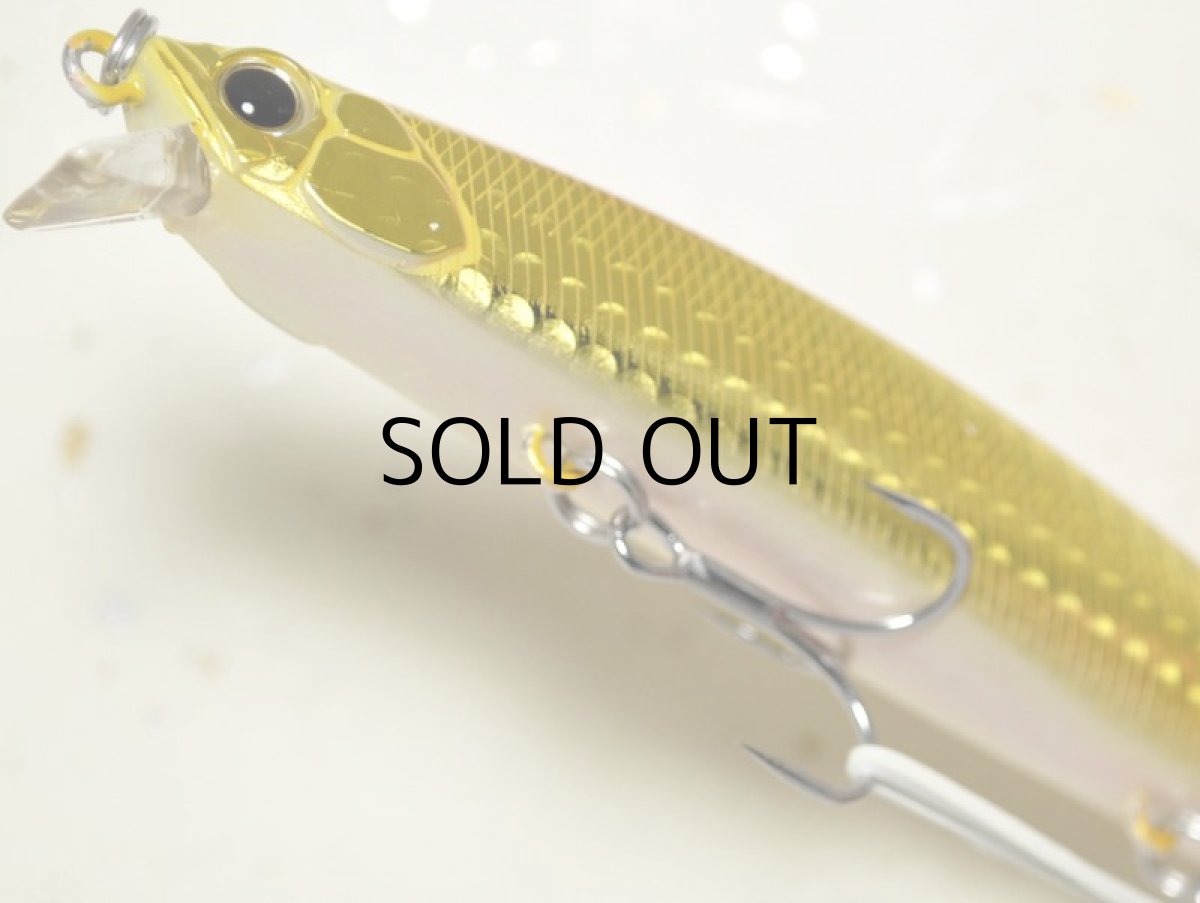 画像3: デュオ タイドミノー120サーフ：ABA0047 チャートヘッドアカキン【ネコポス配送可】 (3)