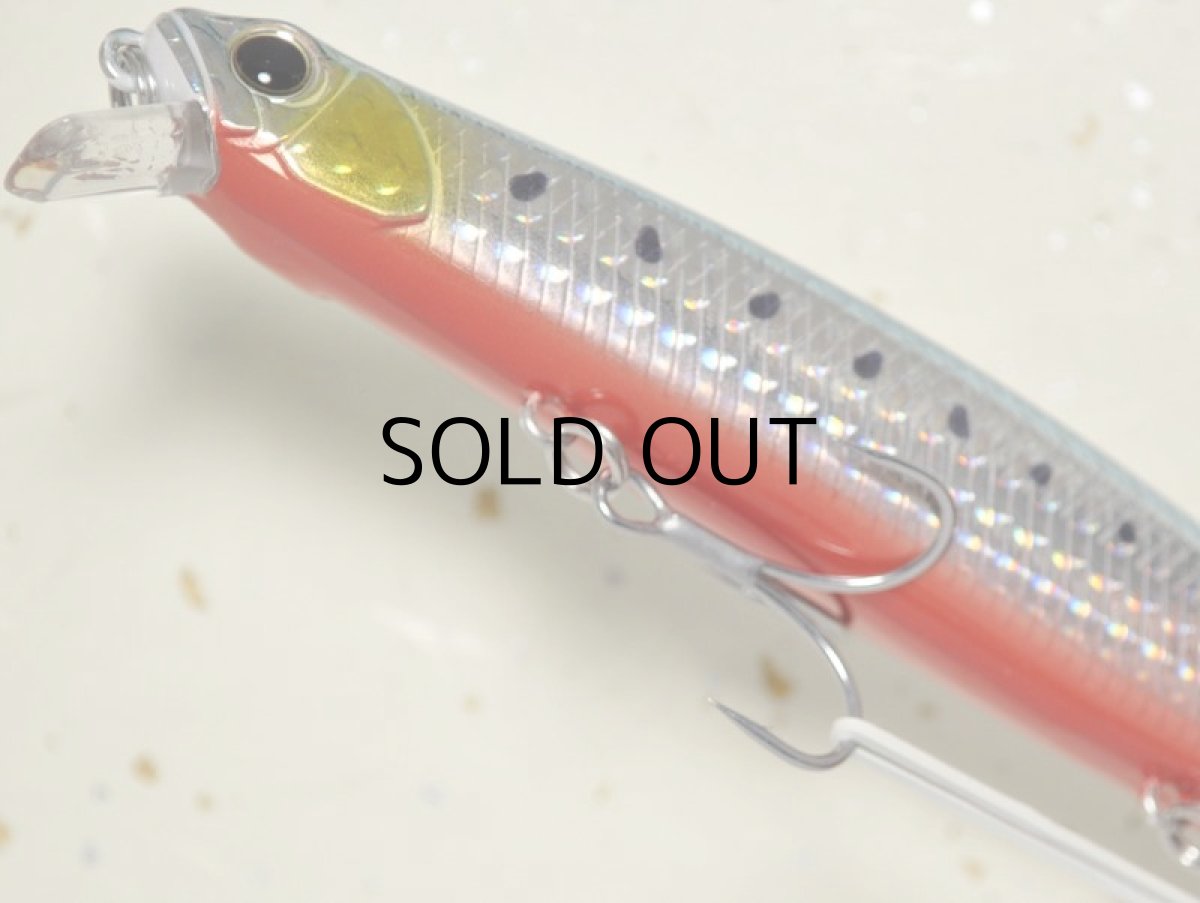 画像3: デュオ タイドミノー135サーフ：ABA0030 イワシRB■ネコポス対象外■ (3)