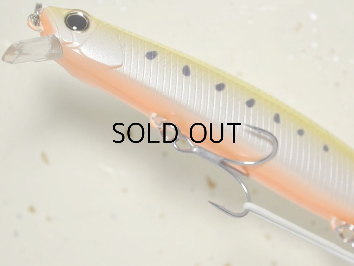 画像3: デュオ タイドミノー135サーフ：AST0333 黄金イワシ■ネコポス対象外■ (3)