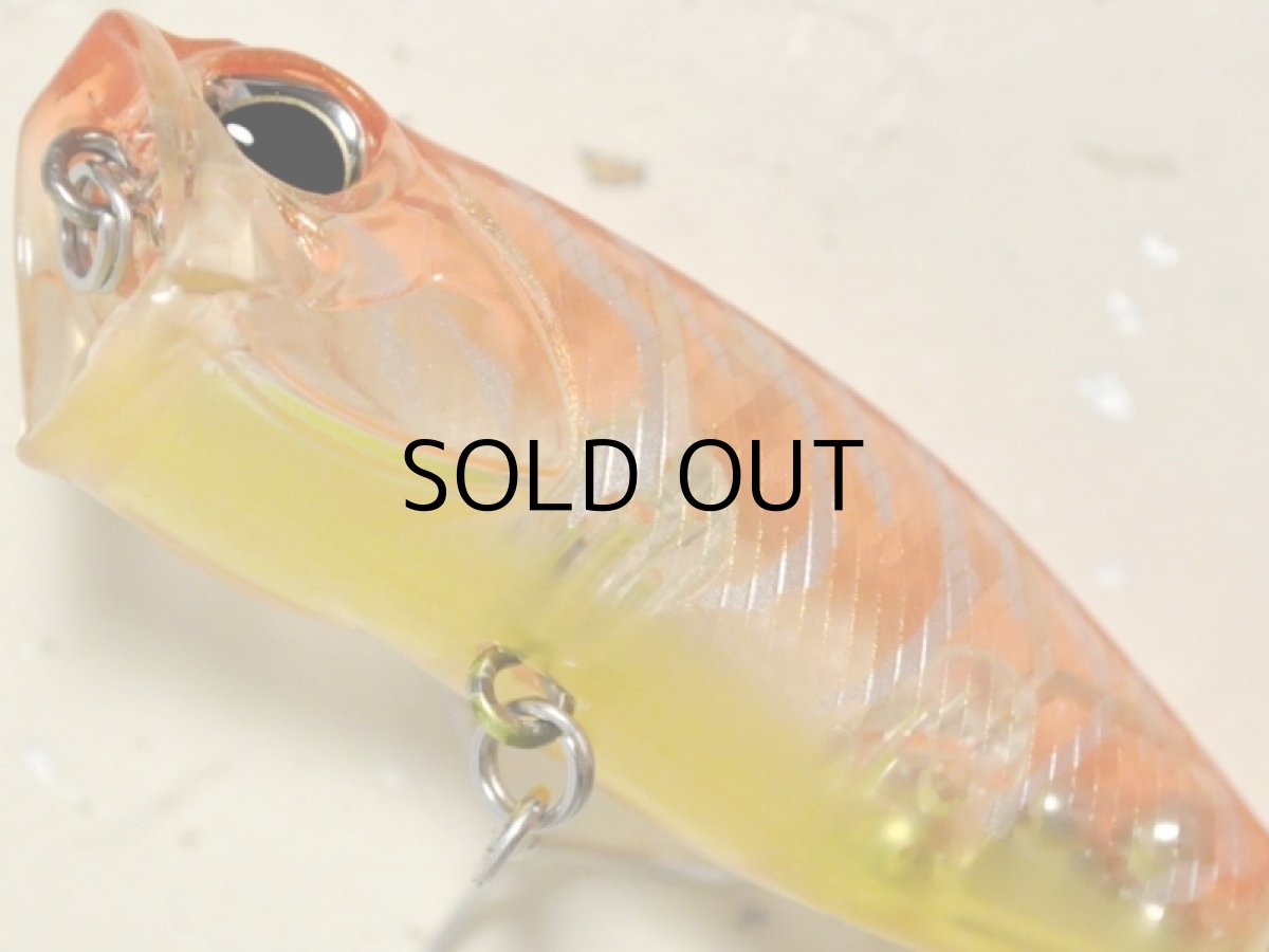 画像3: デュオ レアリス ポッパー64チヌ:CCC0332 オレンジクルマエビ【ネコポス配送可】 (3)