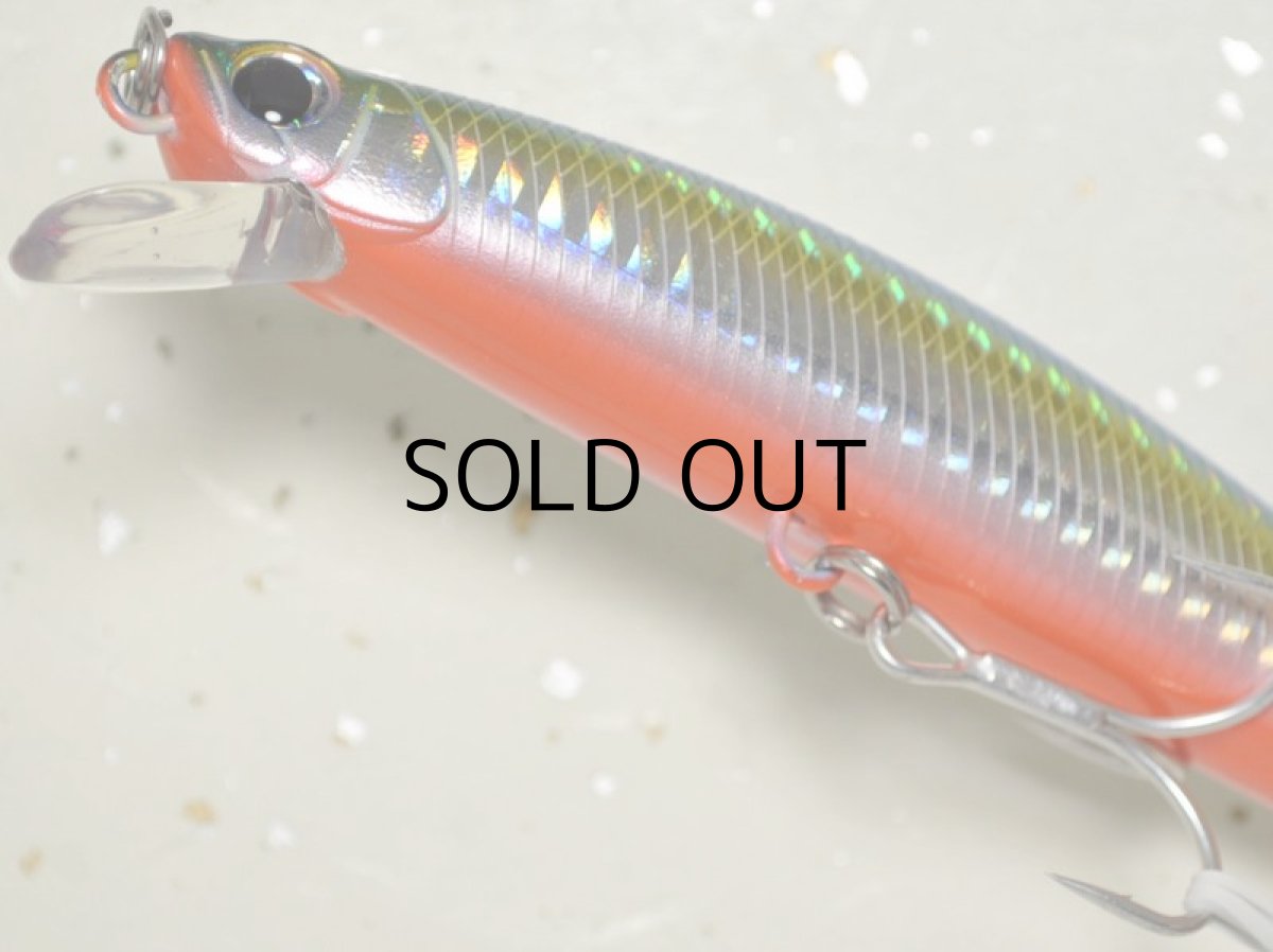 画像3: デュオ タイドミノー120LD：AHA0256 キビナゴRB■ネコポス対象外■ (3)