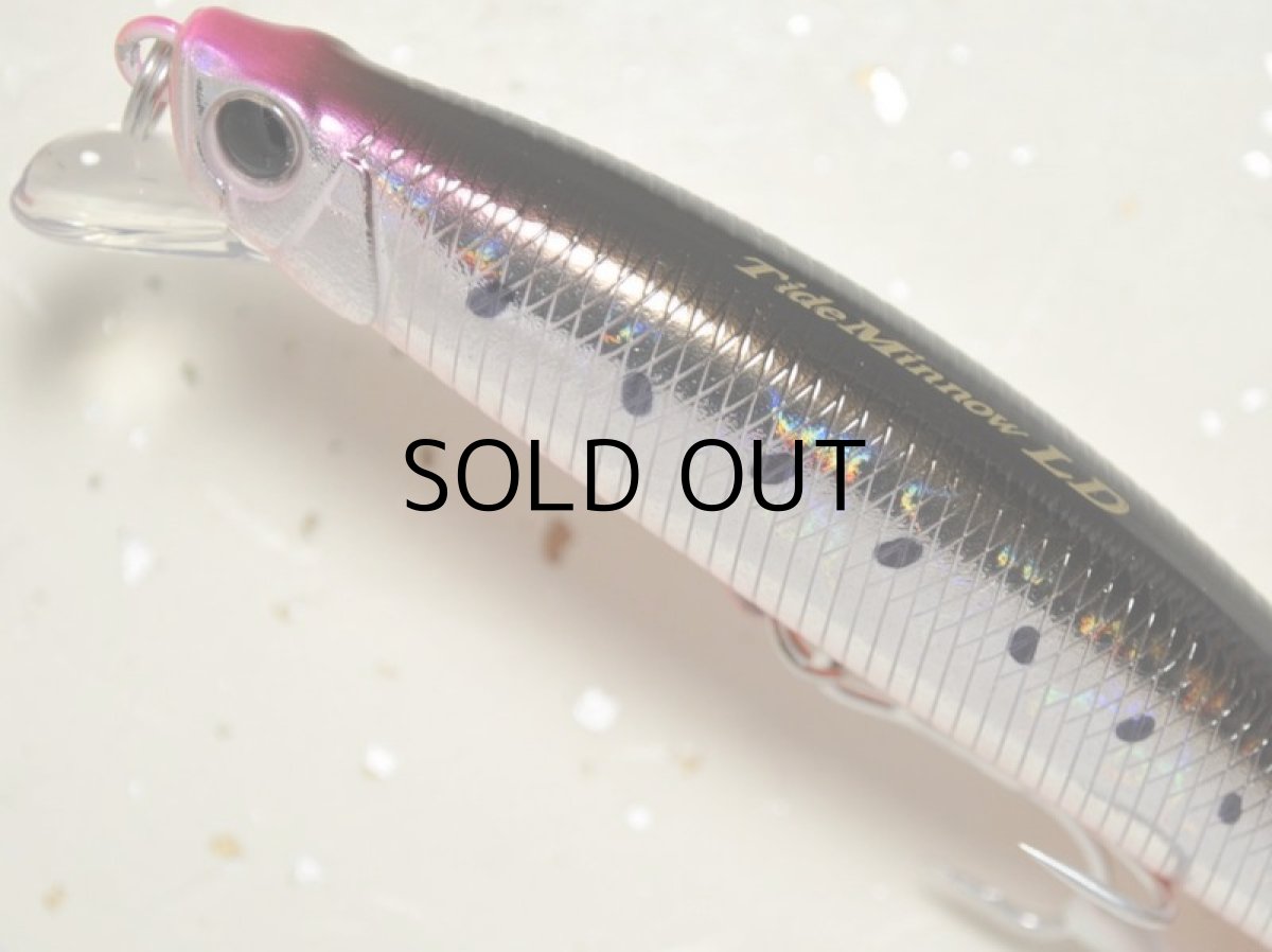 画像2: デュオ タイドミノー120LD:ADA0135 サラシイワシRB■ネコポス対象外■ (2)