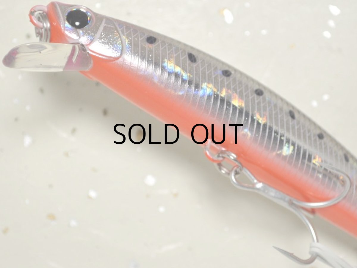 画像3: デュオ タイドミノー120LD:ADA0135 サラシイワシRB■ネコポス対象外■ (3)