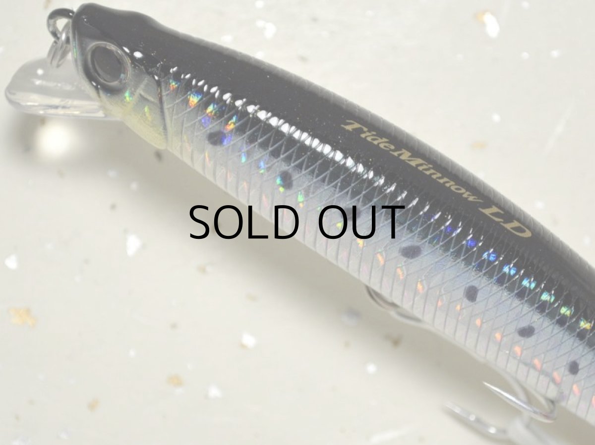 画像2: デュオ タイドミノー120LD：AHA0011 マイワシ■ネコポス対象外■ (2)