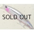 デュオ ビーチウォーカーアクシオン95S：FU-20 照れギス（1091限定カラー）【ネコポス配送可】