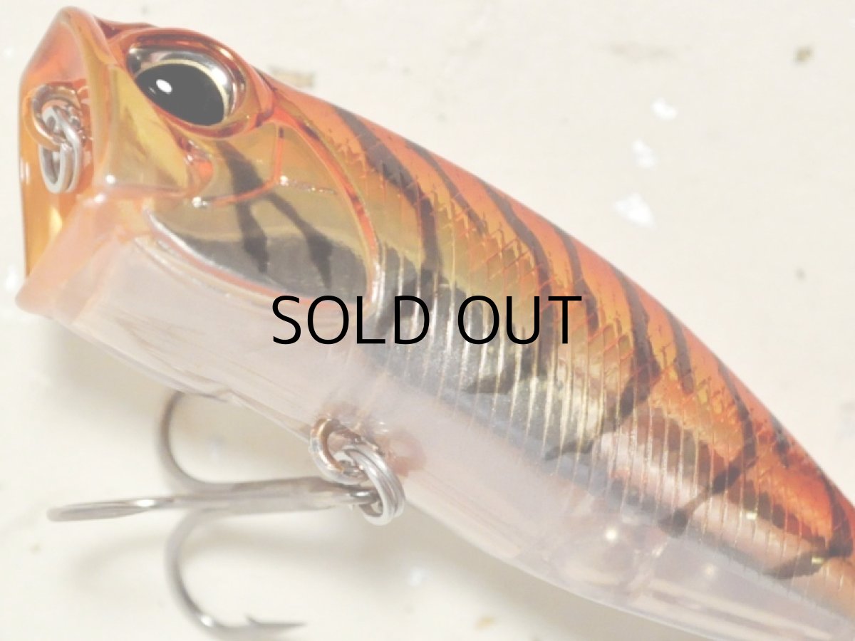 画像3: デュオ レアリス ポッパー64チヌ：DRA0064 アカキンクルマエビ【ネコポス配送可】 (3)