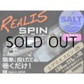 デュオ レアリススピン38SW 11g：MCC3515 UV銀ピカシラス【ネコポス配送可】