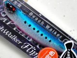 デュオ ビーチウォーカーフリッパーZ36：PCC0709 堀田UVブリリアントイワシ（限定カラー）【ネコポス配送可】
