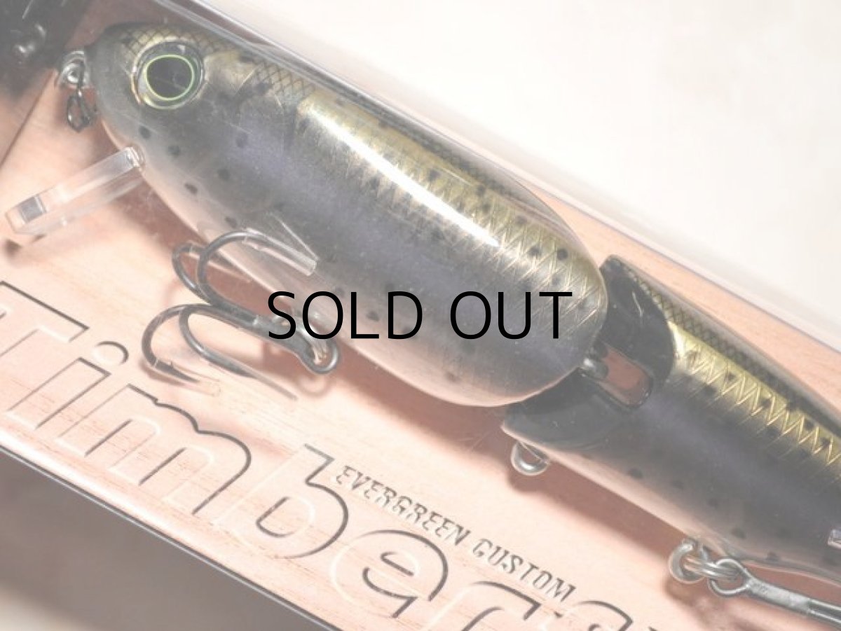 画像2: エバーグリーン ティンバーフラッシュJr.：609 ダークレインボー■ネコポス対象外■ (2)