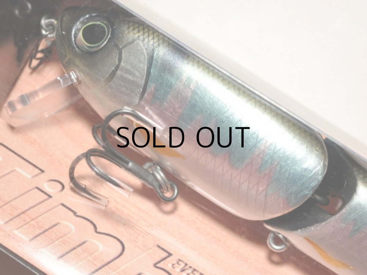 画像2: エバーグリーン ティンバーフラッシュJr.：611 Gオイカワ■ネコポス対象外■ (2)