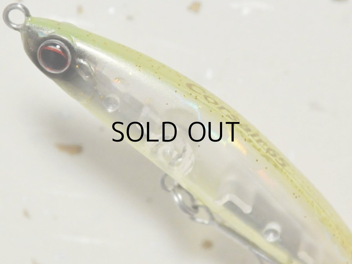 画像2: エバーグリーン コルセア65:#59 スケルトンチャート【ネコポス配送可】 (2)